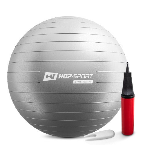 Купити Фітбол  Hop-Sport 65cm HS-R065YB silver + насос у Києві - фото №1